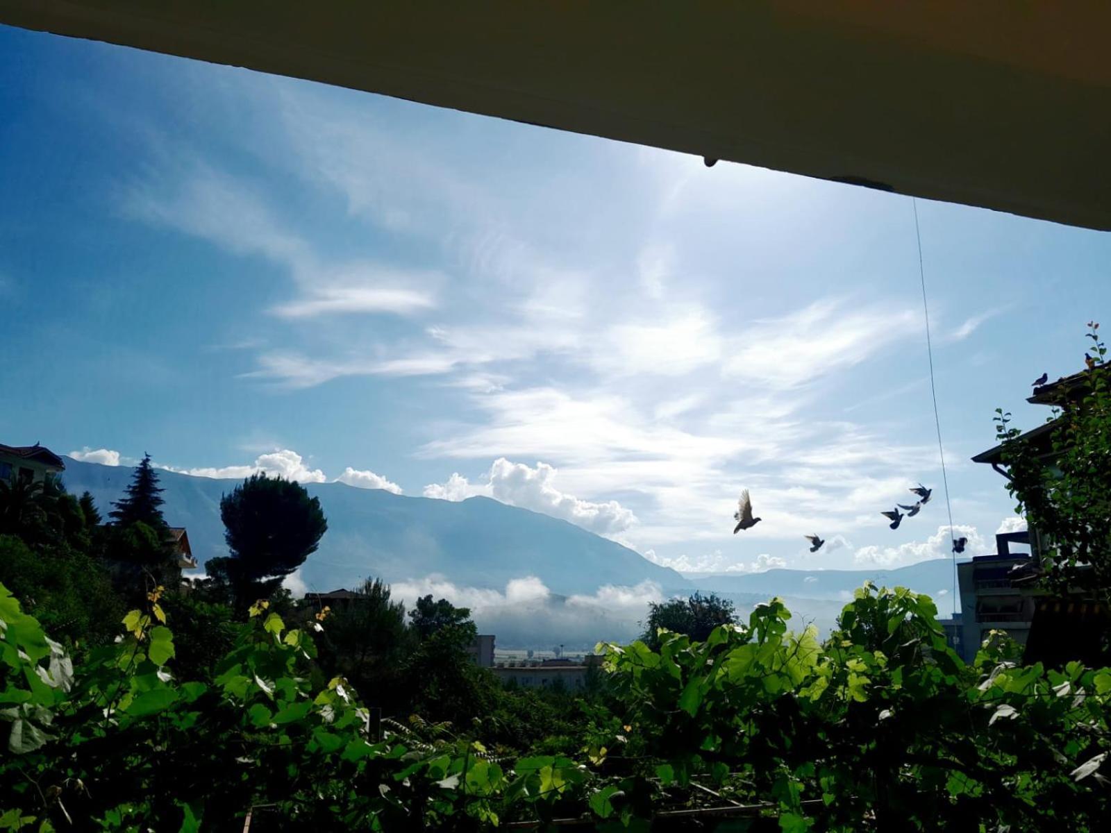 George 1 Apartment Gjirokaster Ngoại thất bức ảnh
